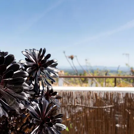 El Balcon De Vejer Vejer de la Frontera